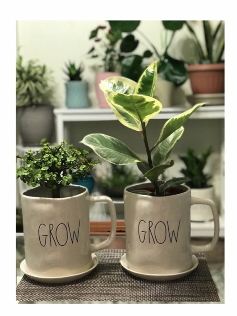 NEW Rae Dunn Grow Mug Shaped Planter